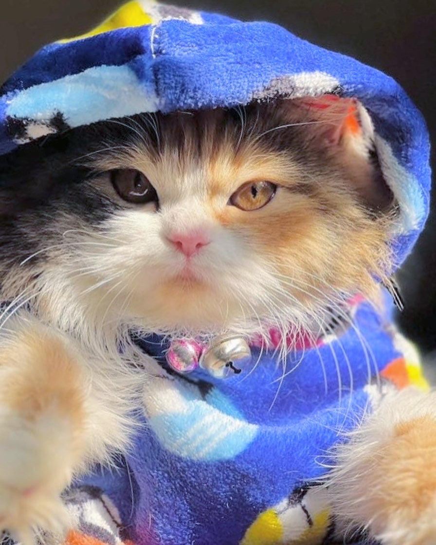 Football pet hoodie - pink