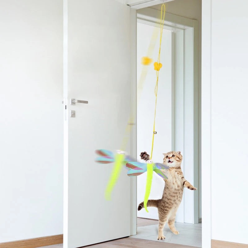 Door hanging cat toy