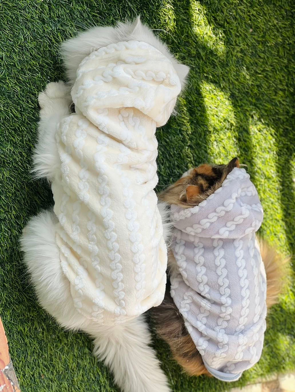 Royal pet hoodie - Grey