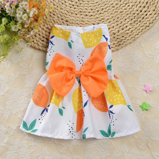 Avalon Pet Frock  🍋🍊