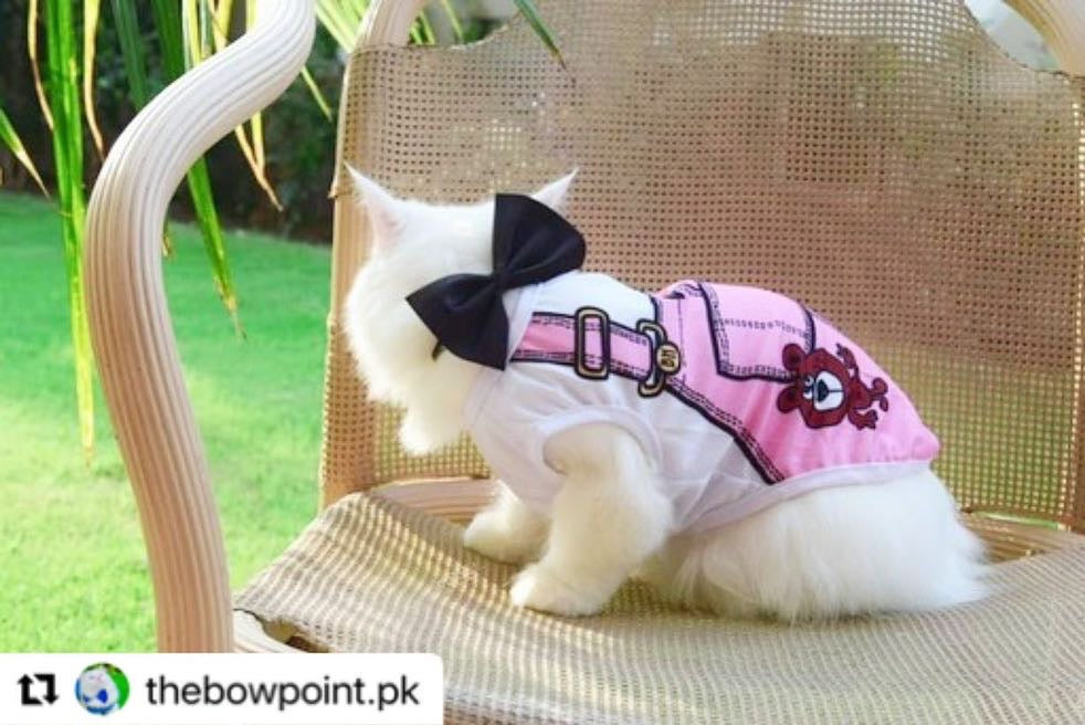 Adjustable Pet Bow