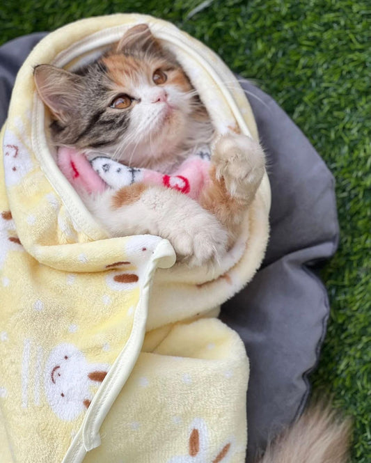 Bunny pet Blankets 🐰