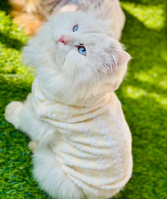 Royal pet hoodie - Yellow