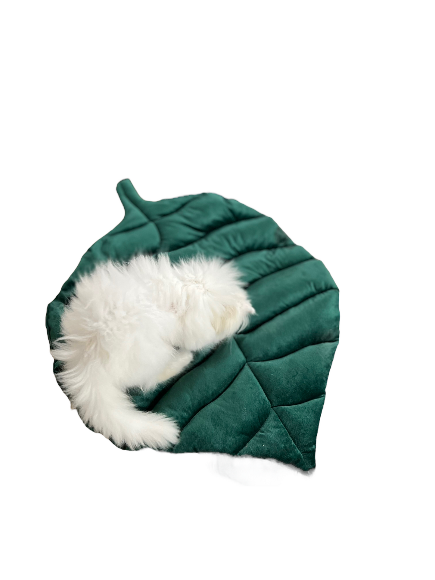 Leaf pet cushion 🍃