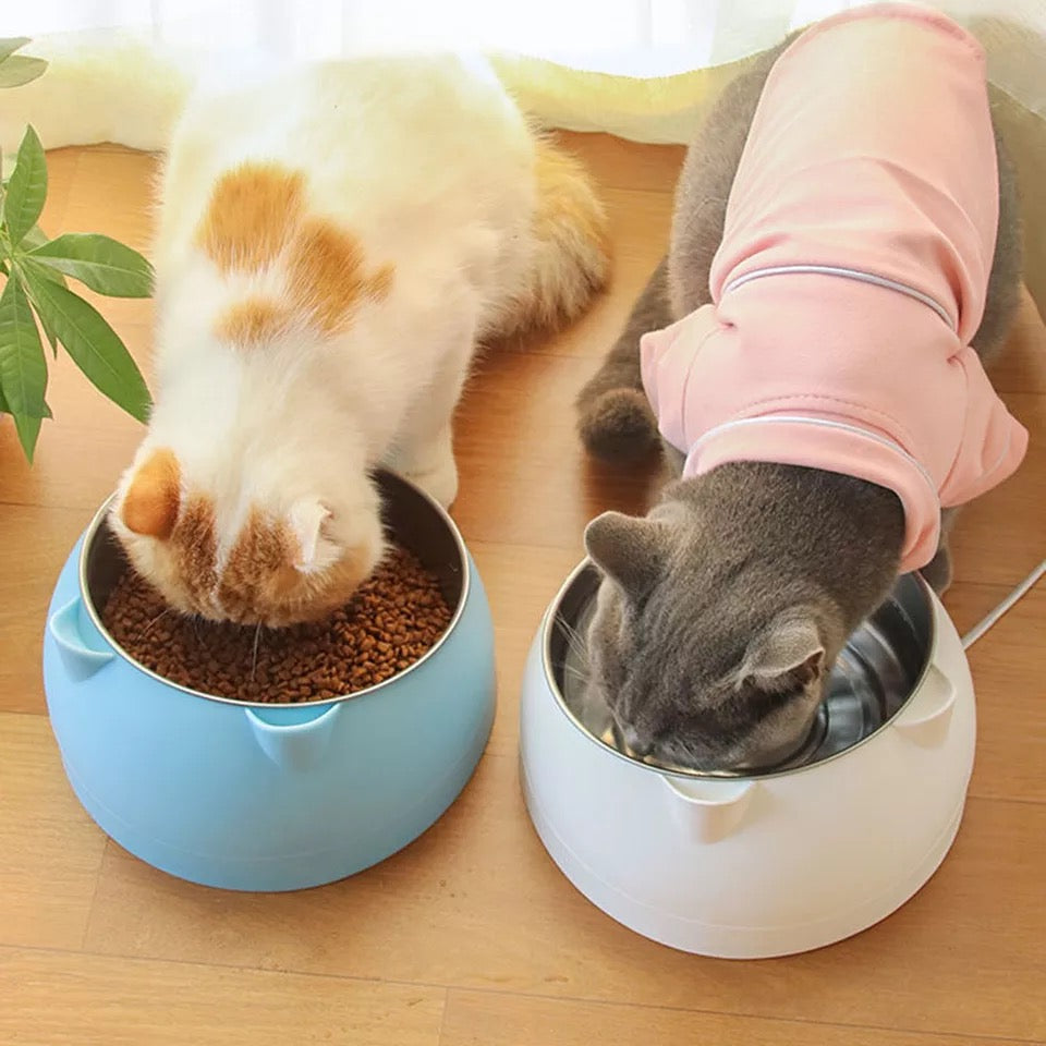 Kitty pet bowl | Stainless