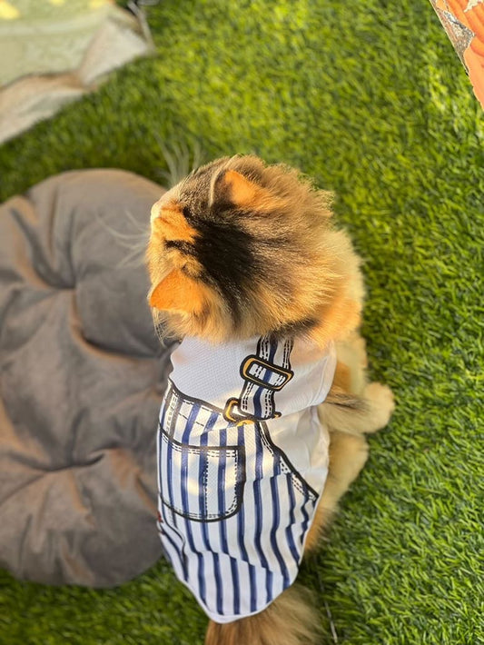 Romper pet shirt 💙