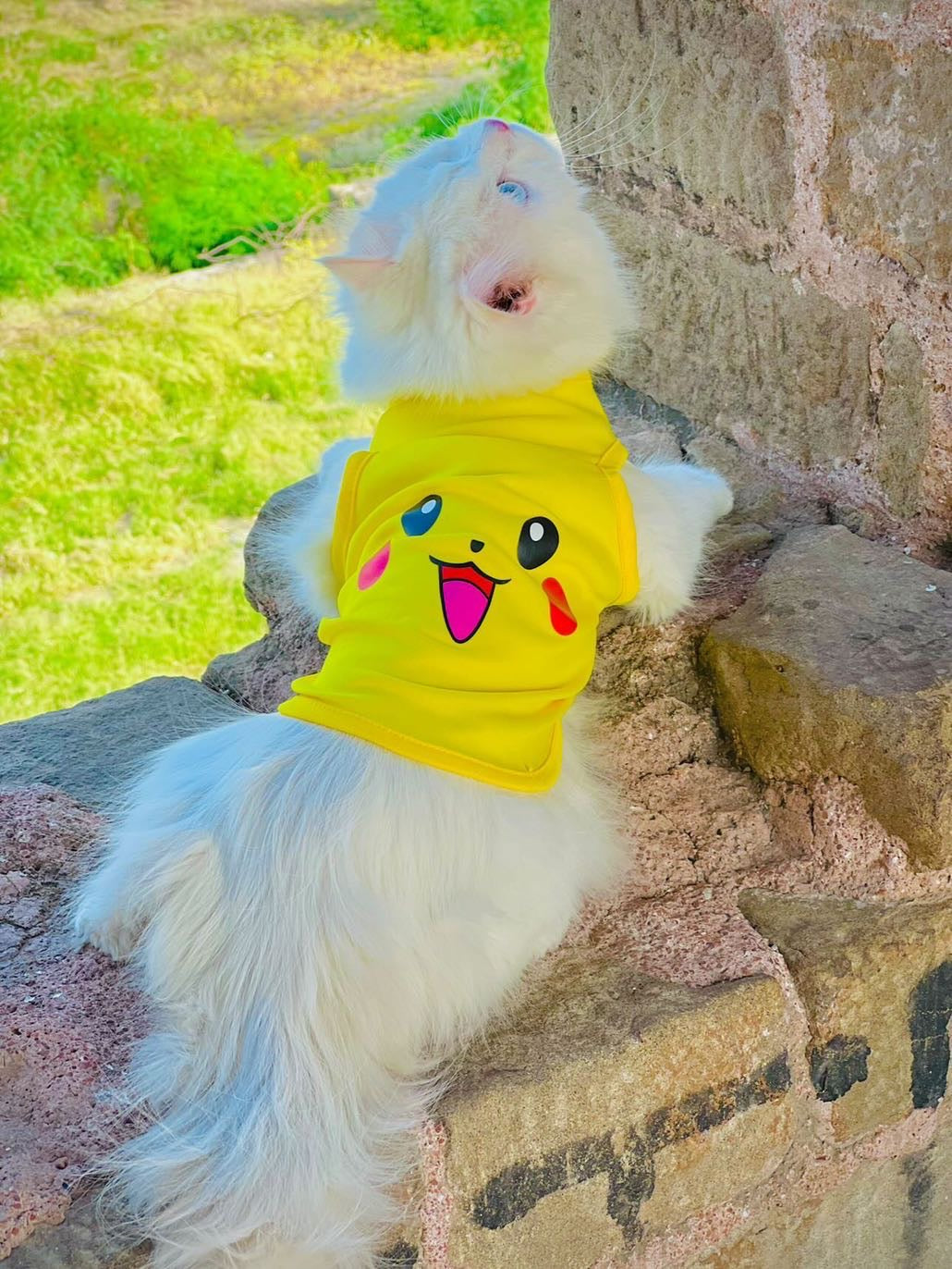 Pikachu Pet shirt - Summer