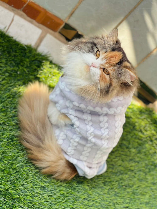 Royal pet hoodie - Grey