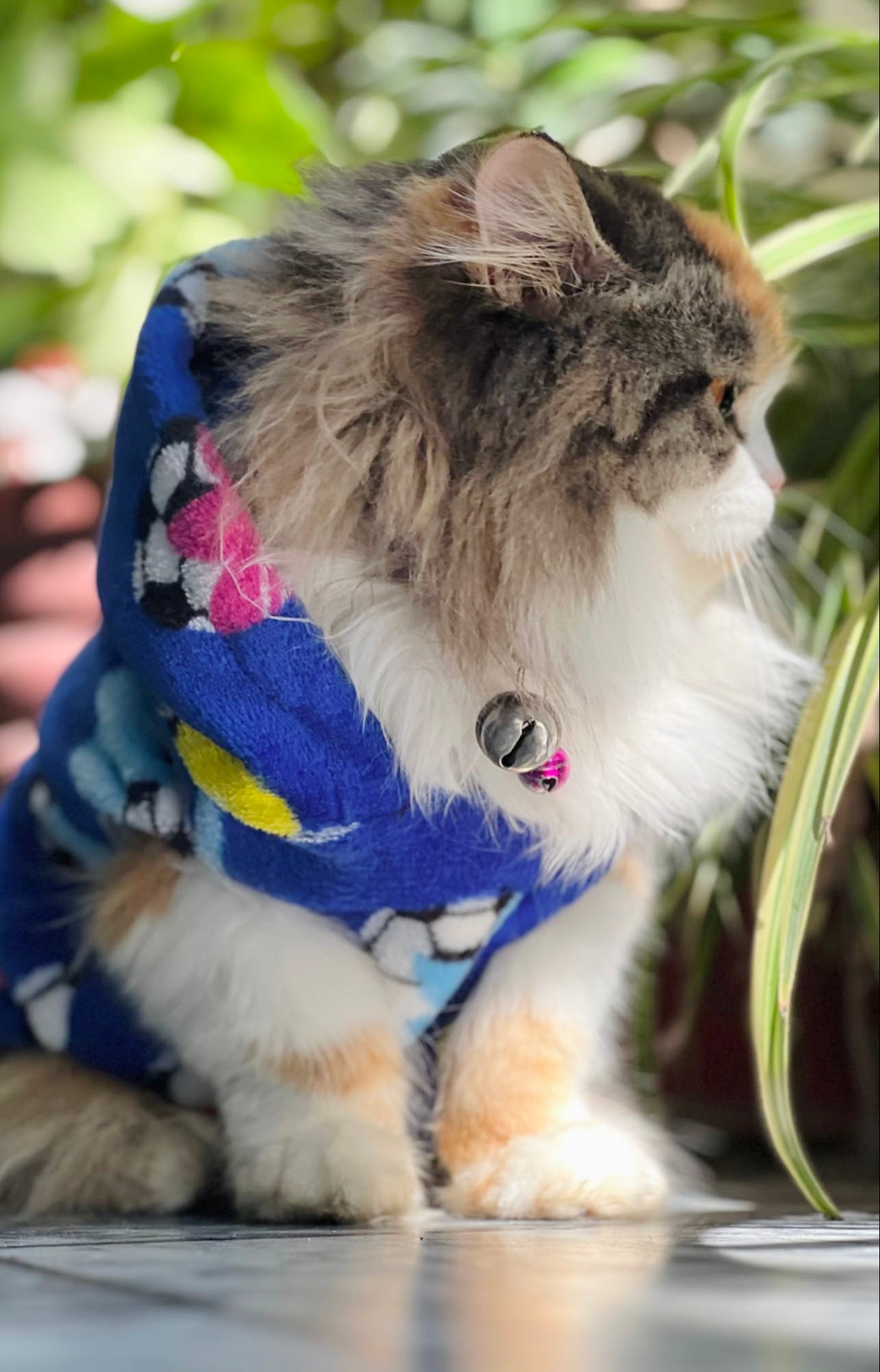 Football pet hoodie - pink