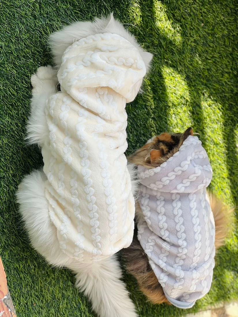 Royal pet hoodie - Yellow