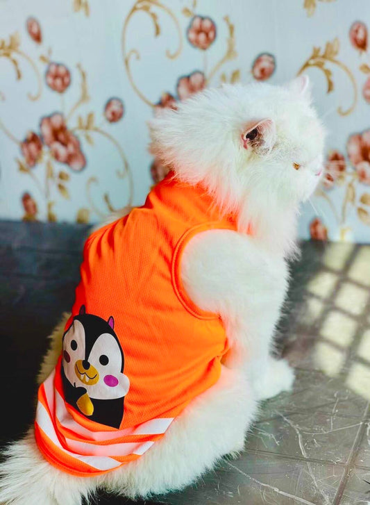Squirrel pet shirt