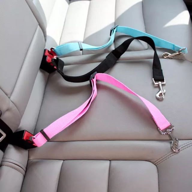 Car seat pet leashe