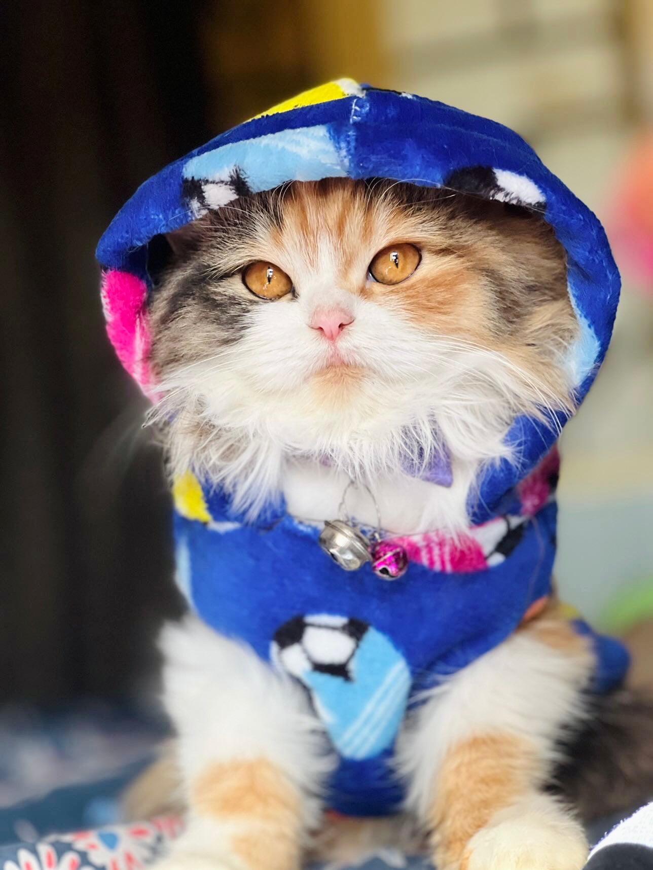 Football pet hoodie - pink