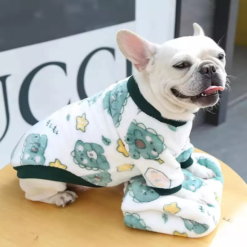 Foodie Dino pet sweater 🦖