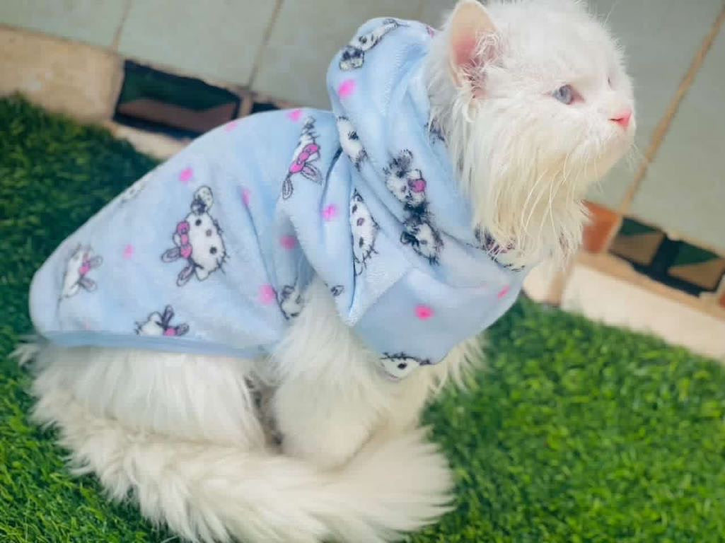 Hello kitty pet hoodie - Blue ❄️🐾