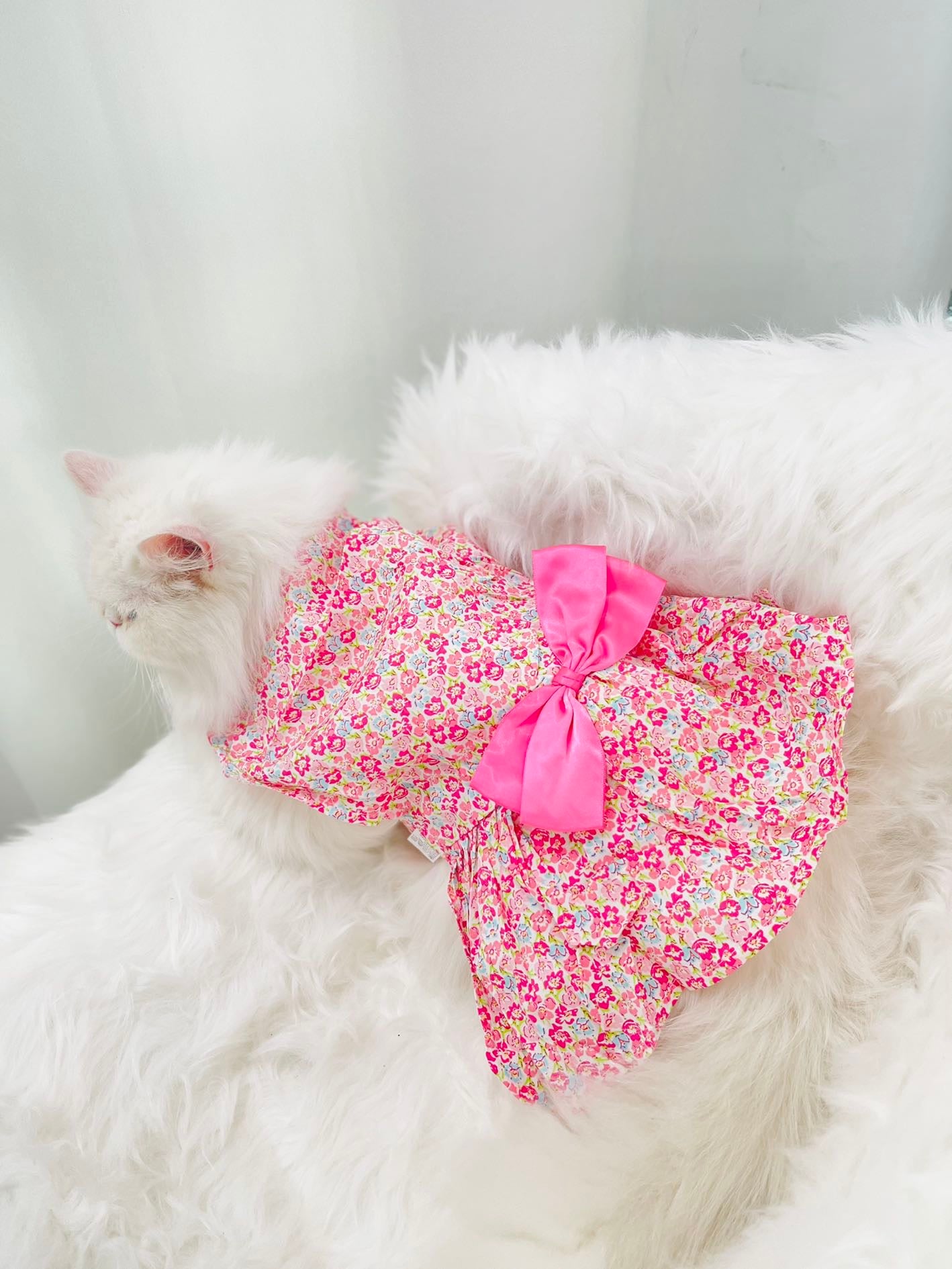 Pet Kimono - pink
