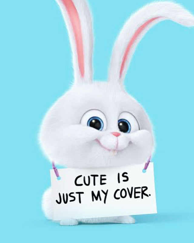 Snowball pet hoodie - BLUE 🐰❄️