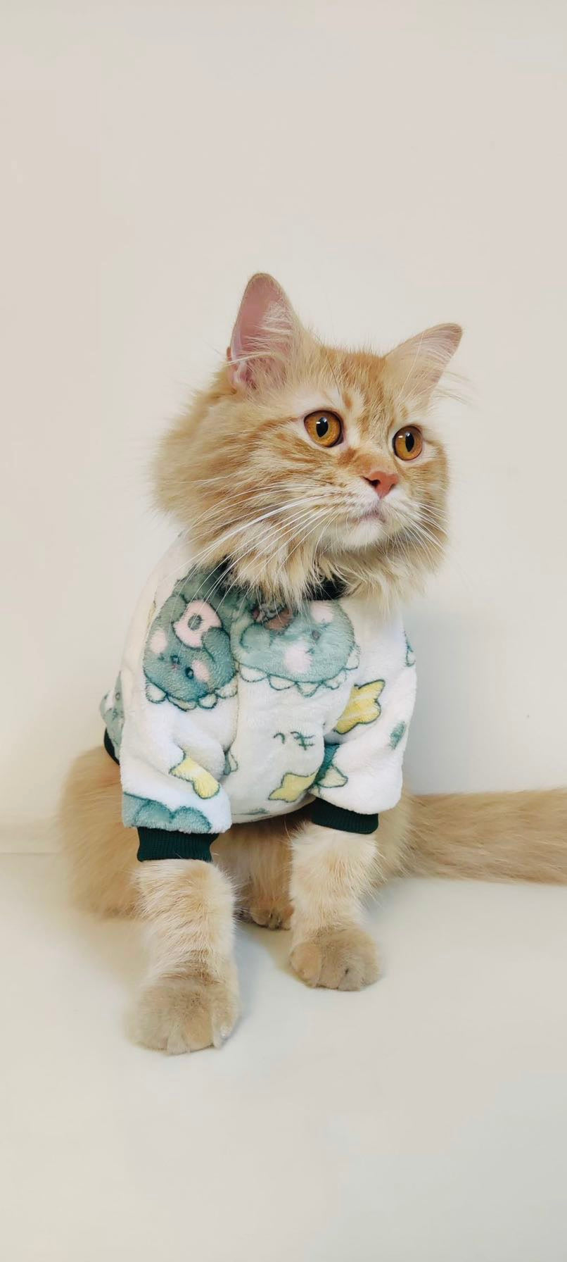 Foodie Dino pet sweater 🦖