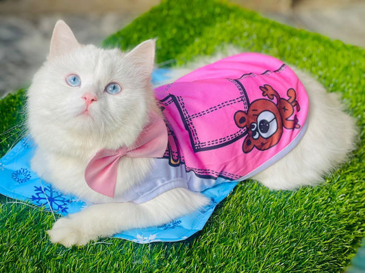 Skirt pet shirt