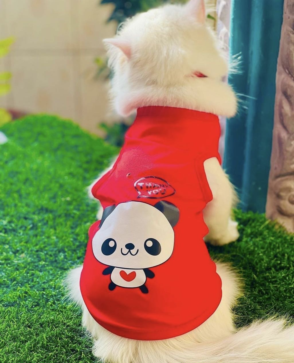 Thank you panda pet shirt 🐼