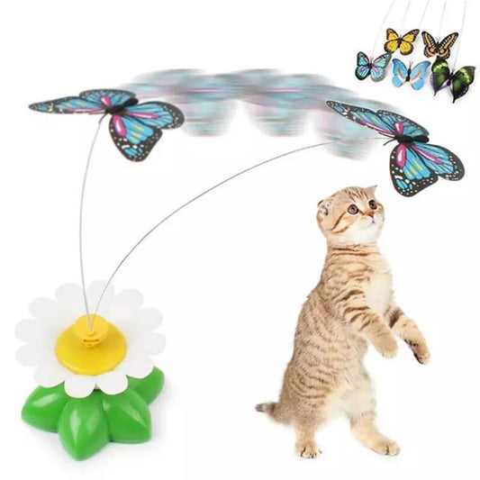 Butterfly rotation- delicate toy