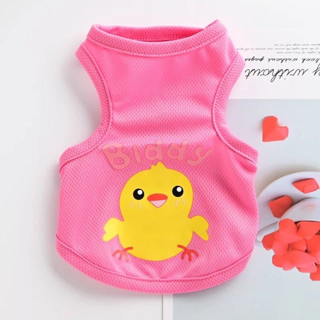 Biddy & Lady bird pet shirt