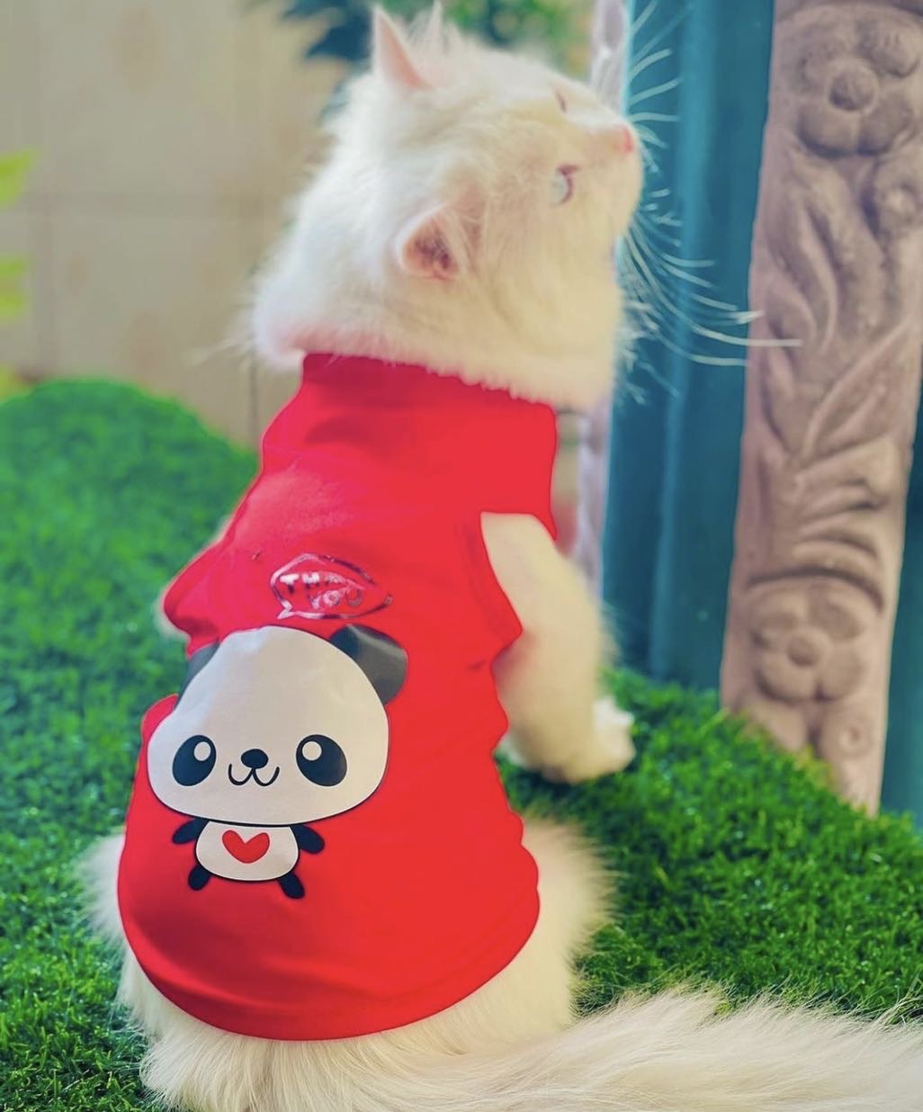 Thank you panda pet shirt 🐼