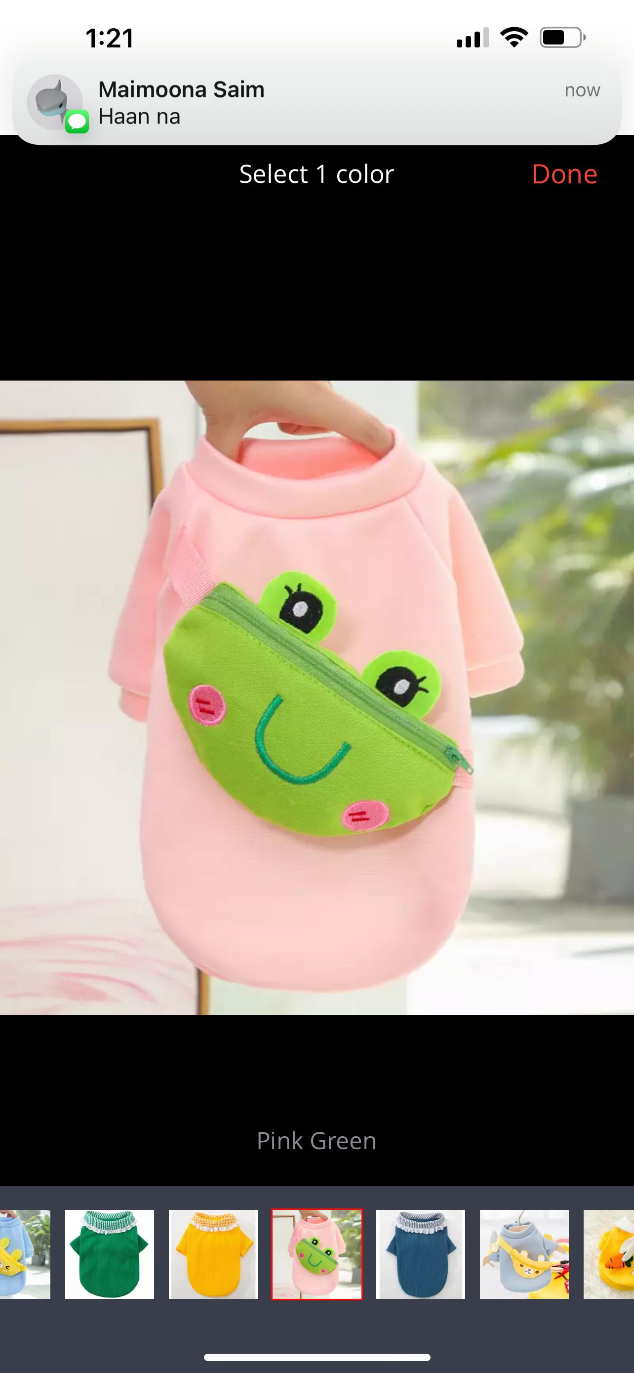 Froggy pouch pet sweater 🐸