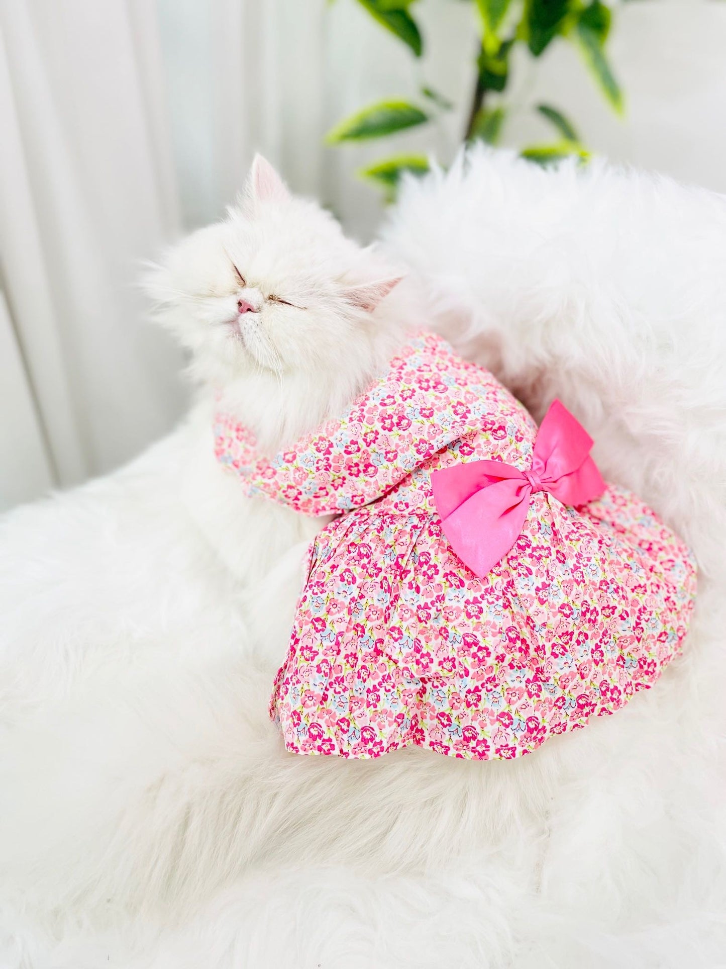Pet Kimono - pink