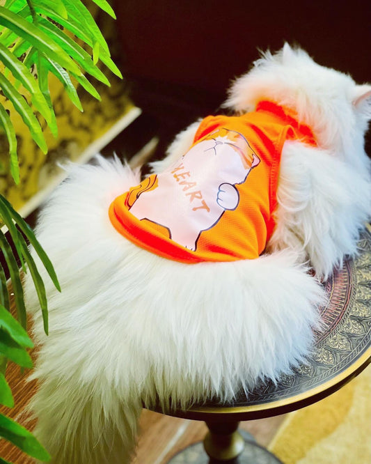 Korean Heart pet shirt 🧡