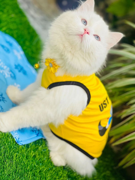 Just Do It pet shirt ✔️