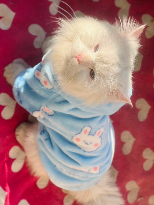 Snowball pet hoodie - BLUE 🐰❄️