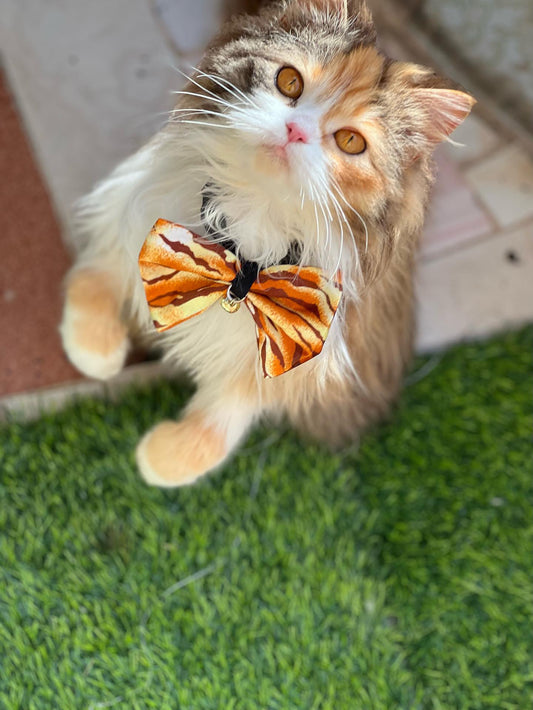 Leopard pet bow with bell 🔔🐆