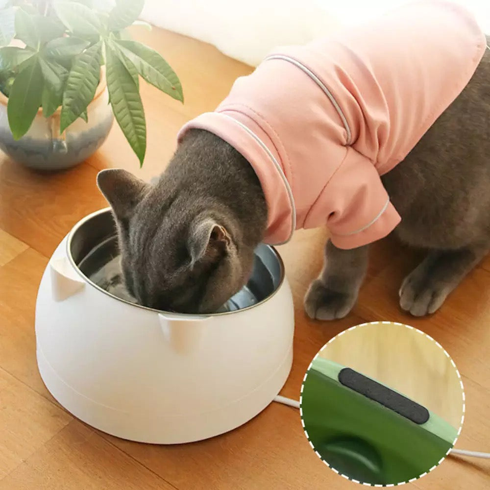 Kitty pet bowl | Stainless