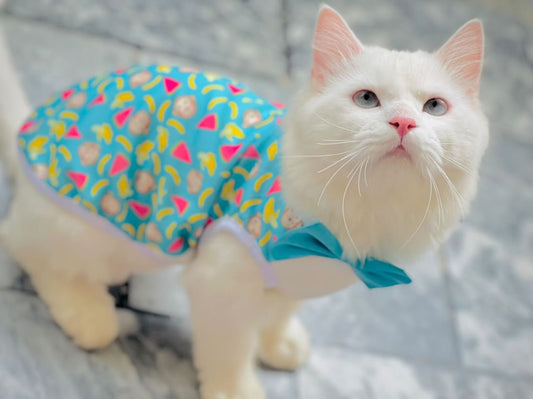Banana monkey pet shirt 🍌🐵