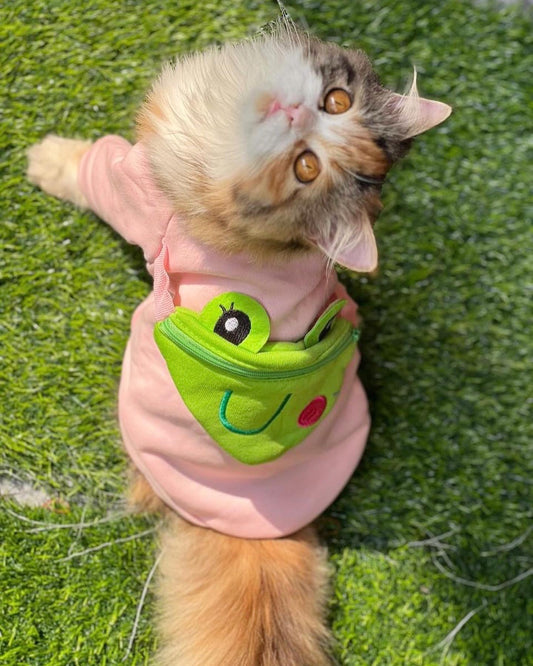 Froggy pouch pet sweater 🐸