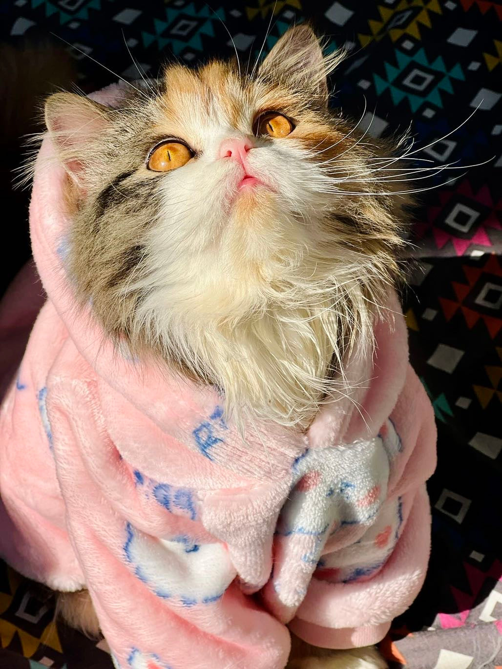 Snowball pet hoodie - pink 🐰💖