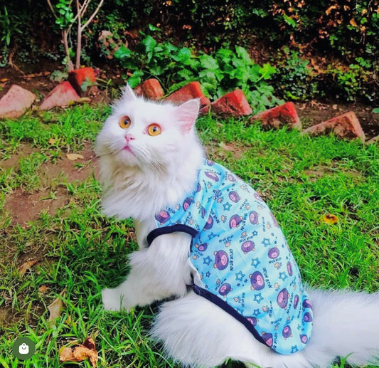 Denk Bear pet shirt 🧸