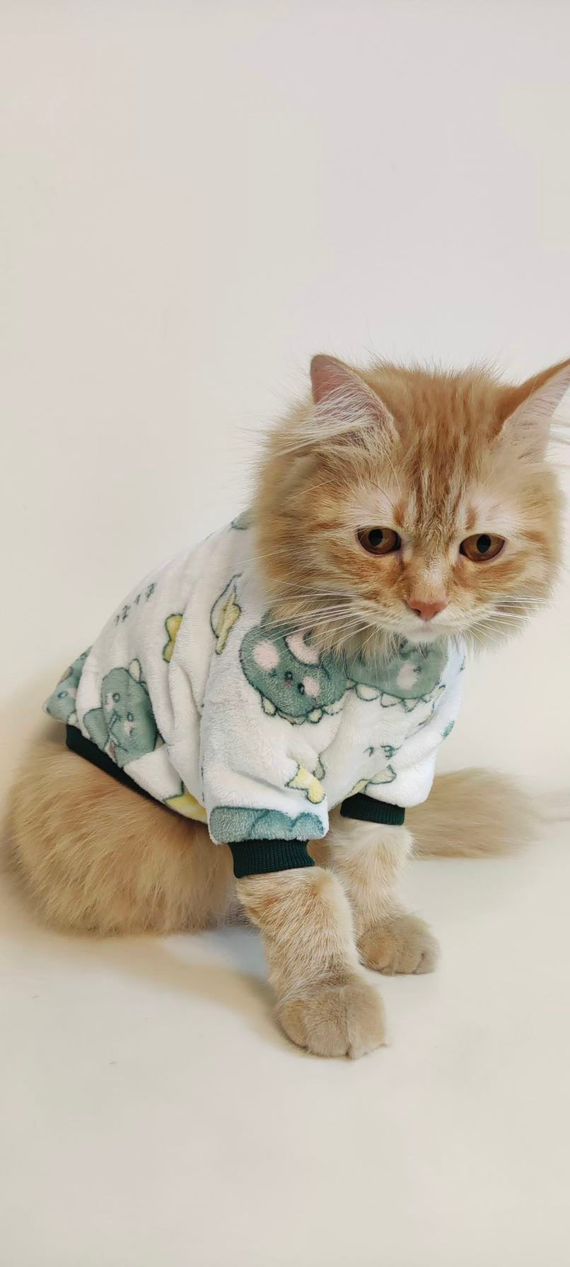 Foodie Dino pet sweater 🦖