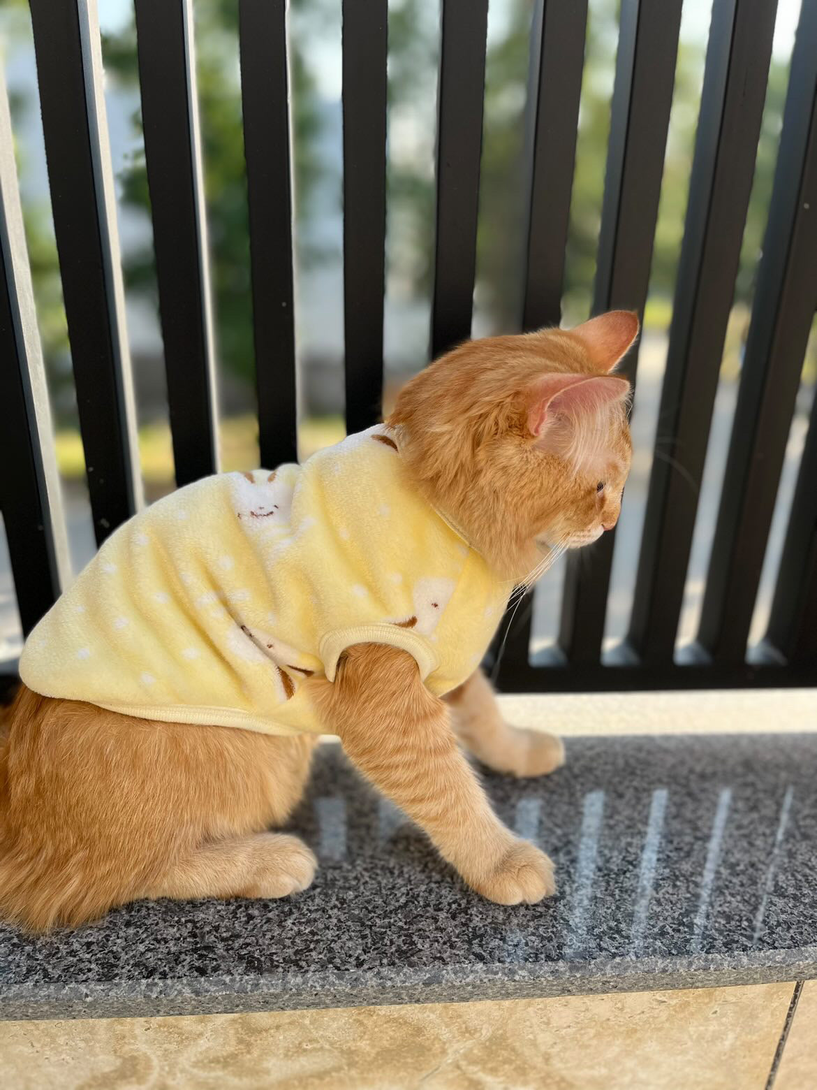 BUGSBunny pet sweater 🐰 - Yellow