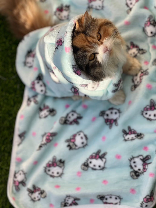 Blanket and hoodie bundle | Hello kitty b- Adriatic mist ❄️🐾