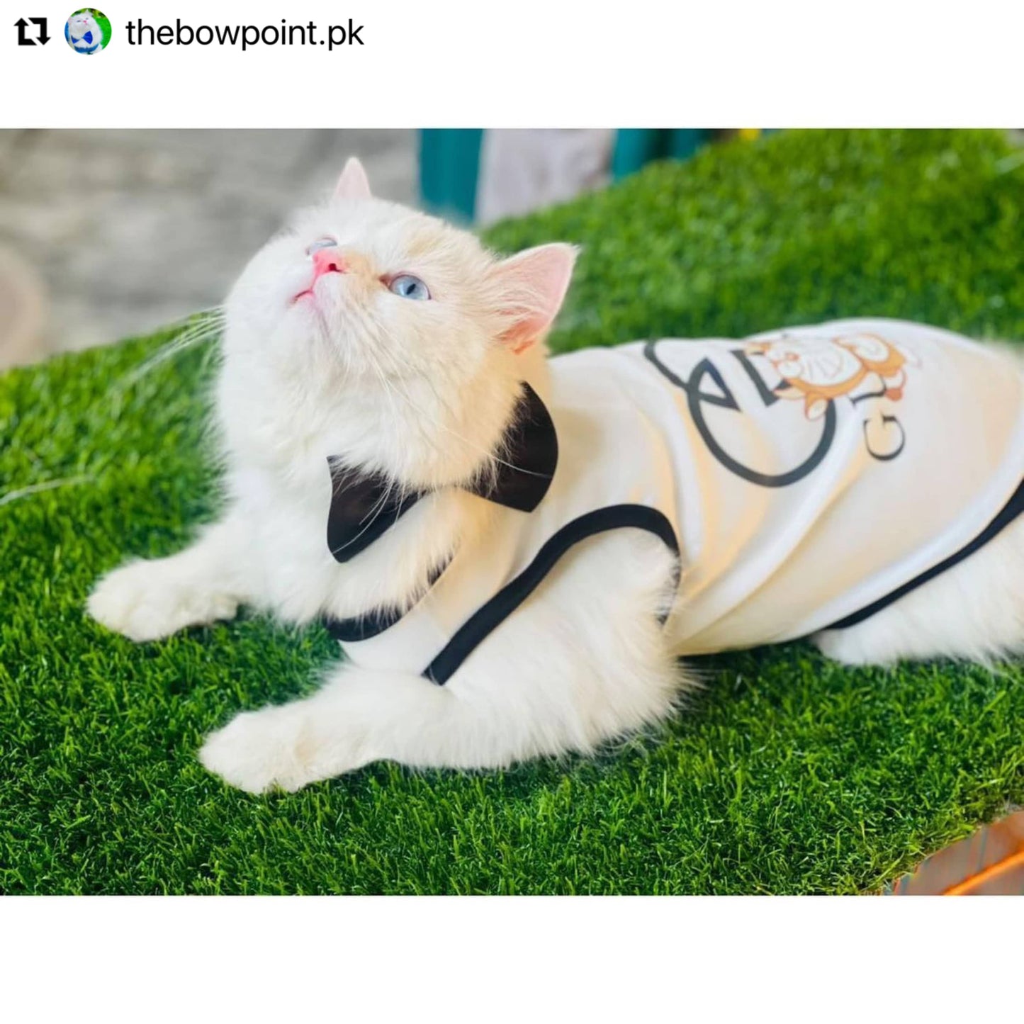 Gucci doraemon pet shirt