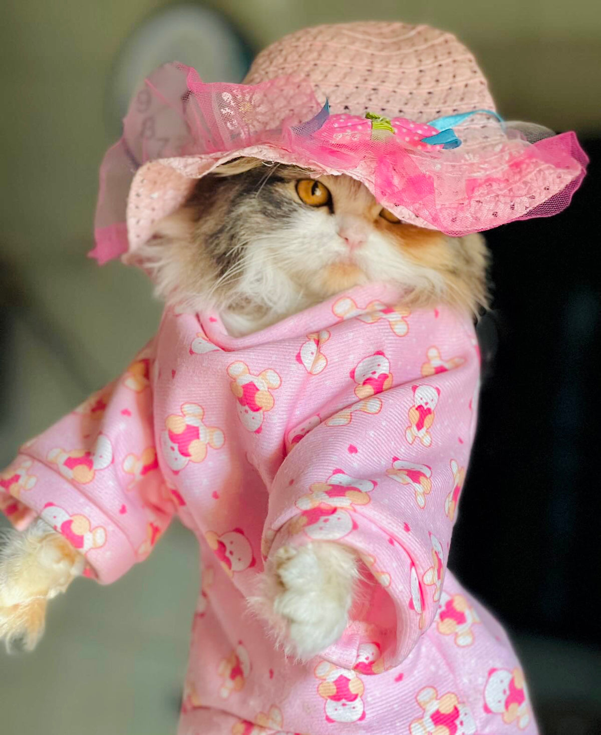 Heart bear pet sweater 🧸💖 Pink