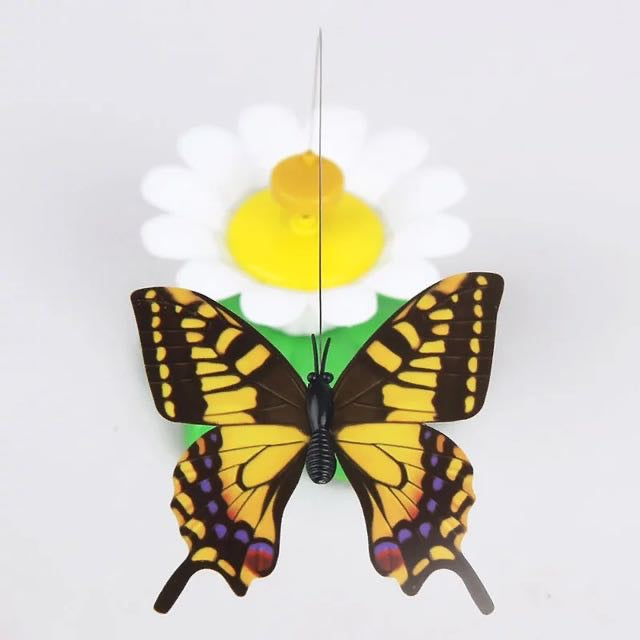 Butterfly rotation- delicate toy