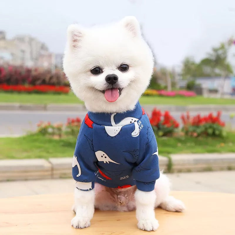 Dino party pet sweater 🦕
