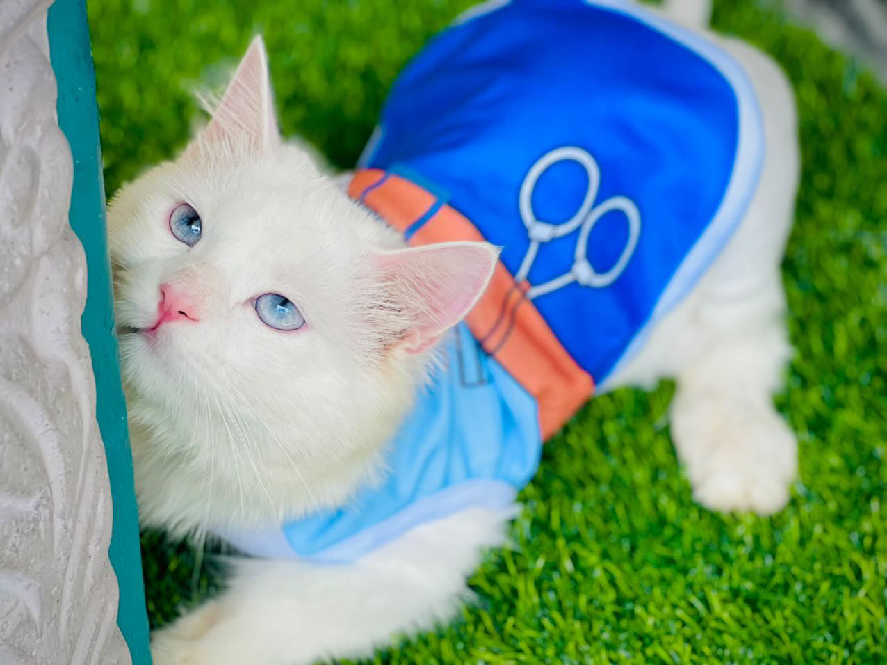 Police pet shirt 👮🏻‍♂️🚔🚨