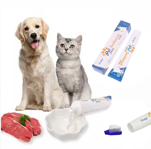 Pet Toothpaste - beef flavour - edible