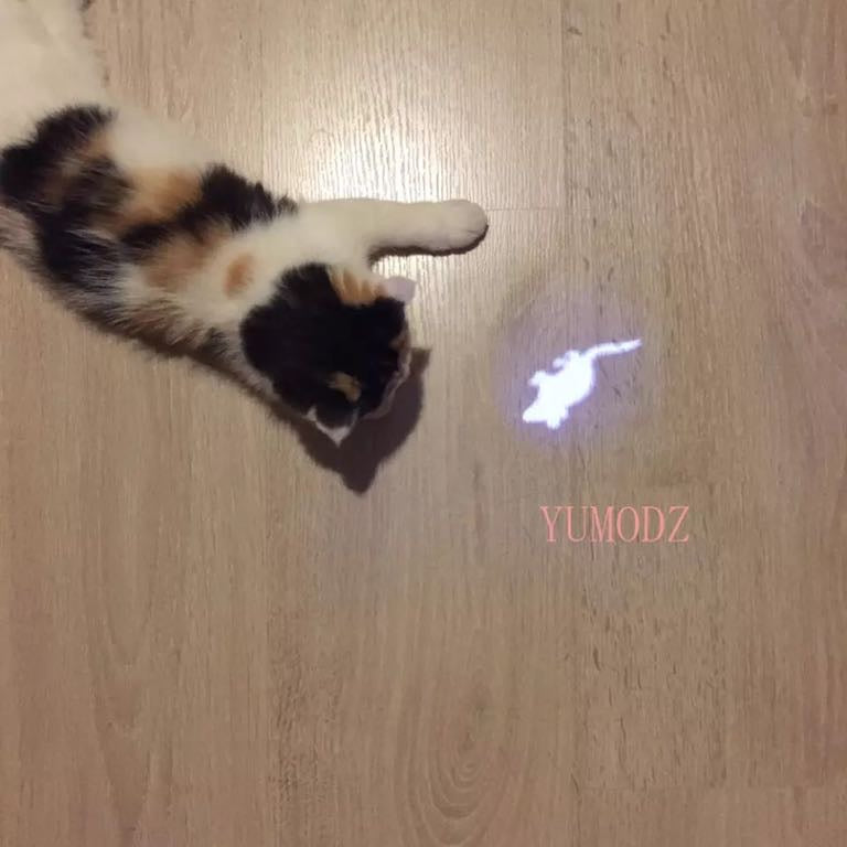 Laser light - mouse figure