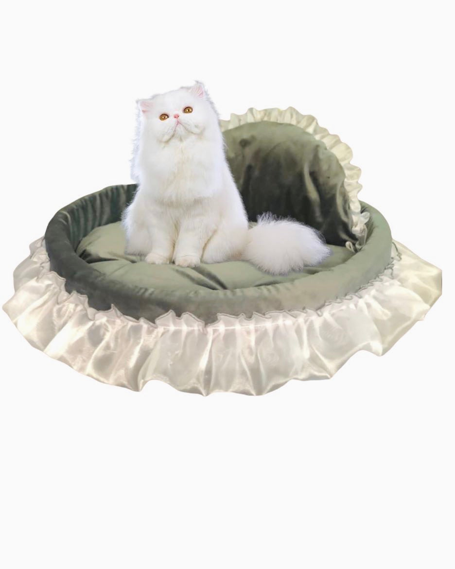 Luxury Dream Pet Bed