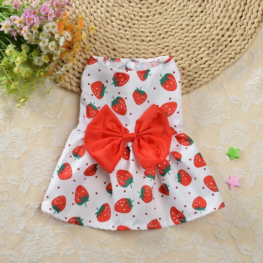 Strawberry Pet Frock 🍓